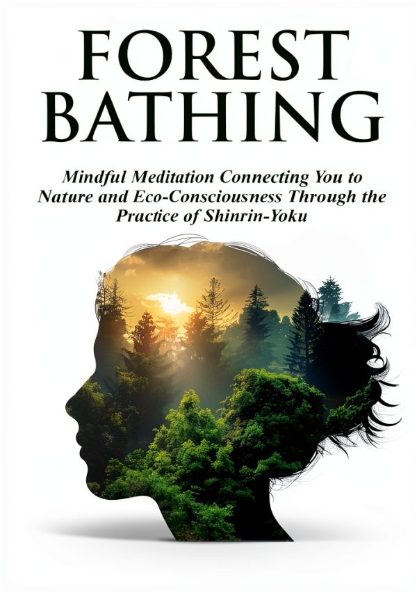Meditation Guide Kindle Edition by Eric Porterfield-0